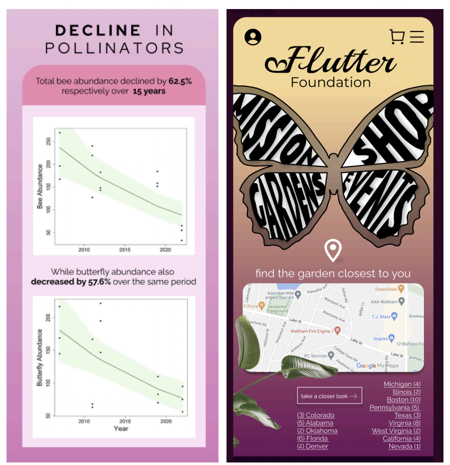 Pollinator decline infographic and Flutter Foundation campaign mobile concept